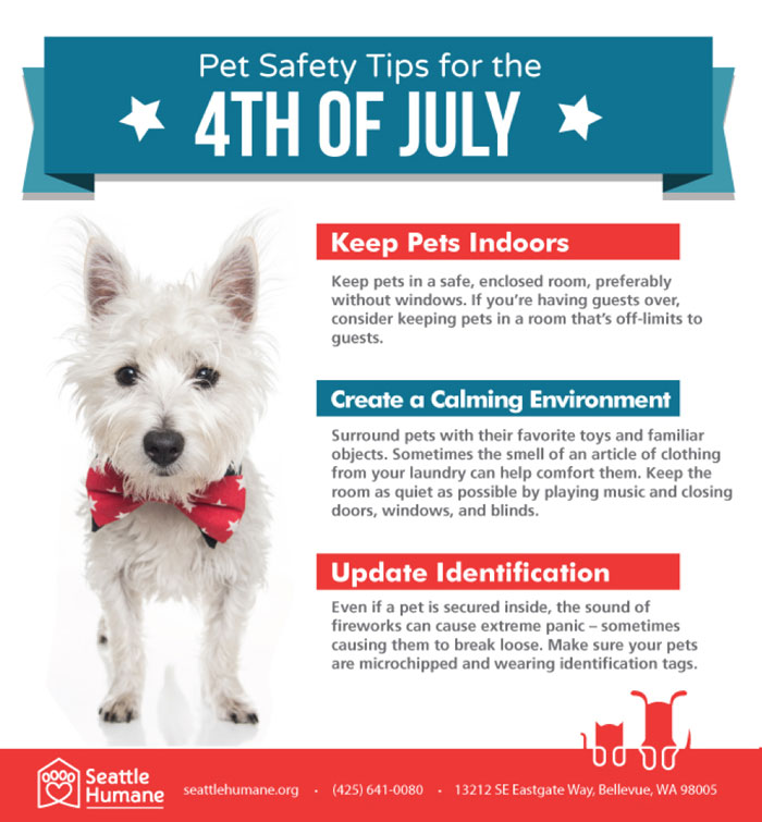 keep-4th-of-july-safe-for-pets.jpg